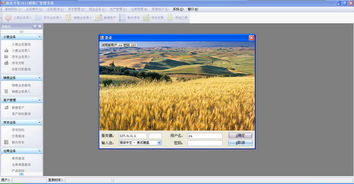 面業專家面粉廠管理系統V2012官方綠色版 實現高效生產與外圍設備智能管理